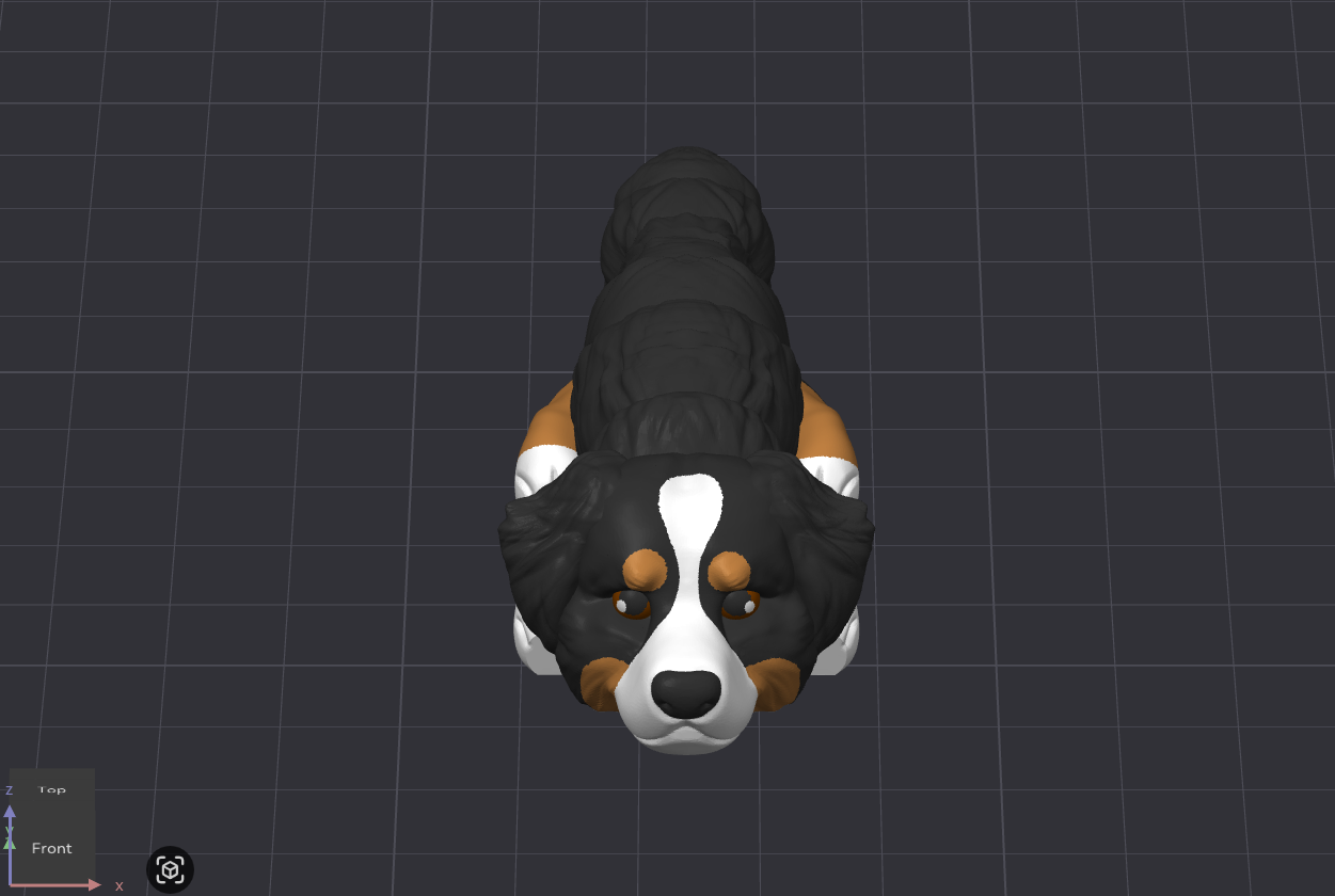 Bernese Mountain Dog
