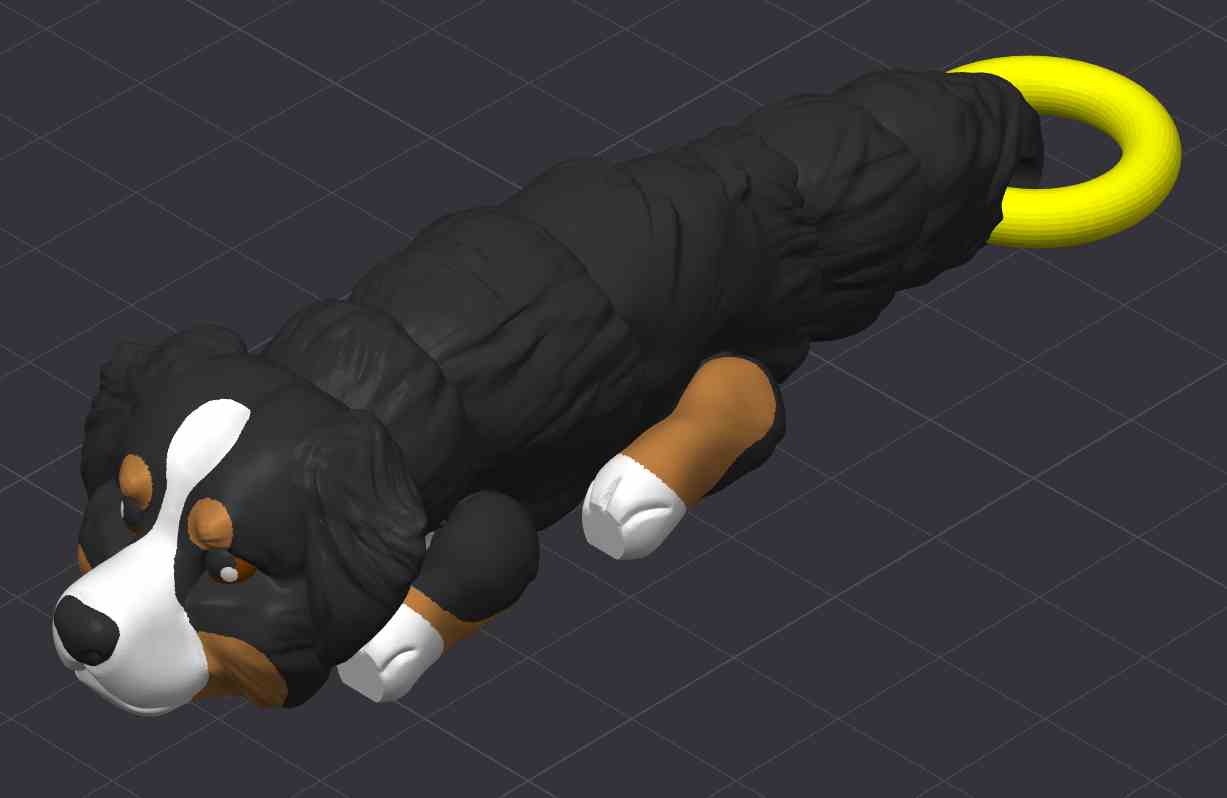 Bernese Mountain Dog