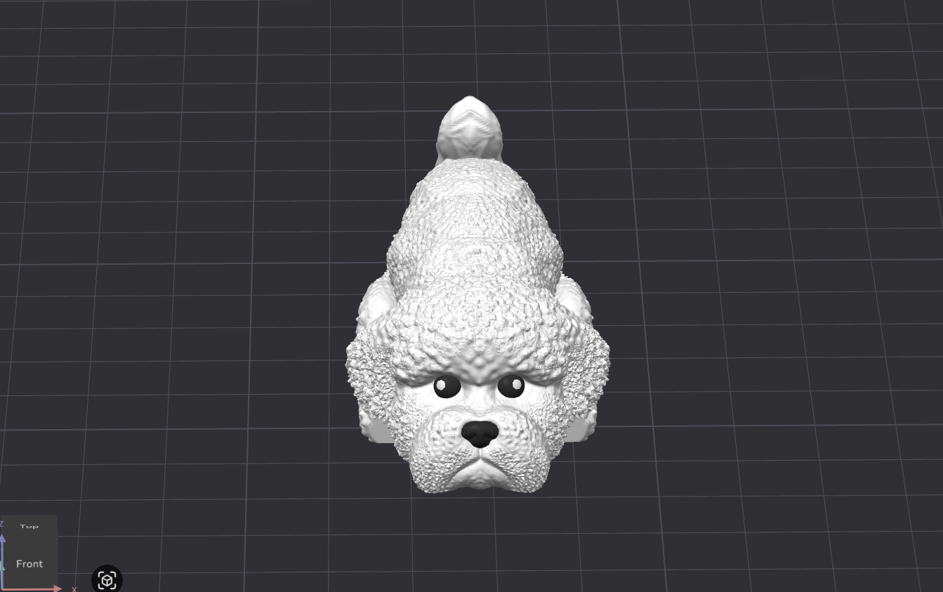 Bichon Frise Dog