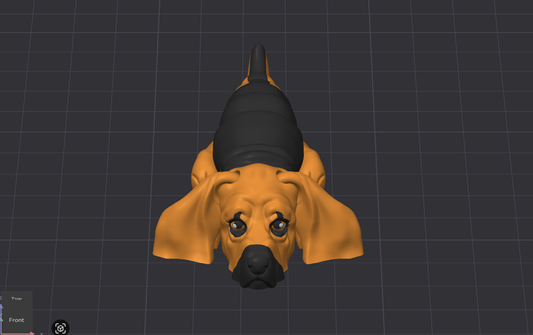 Bloodhound Dog