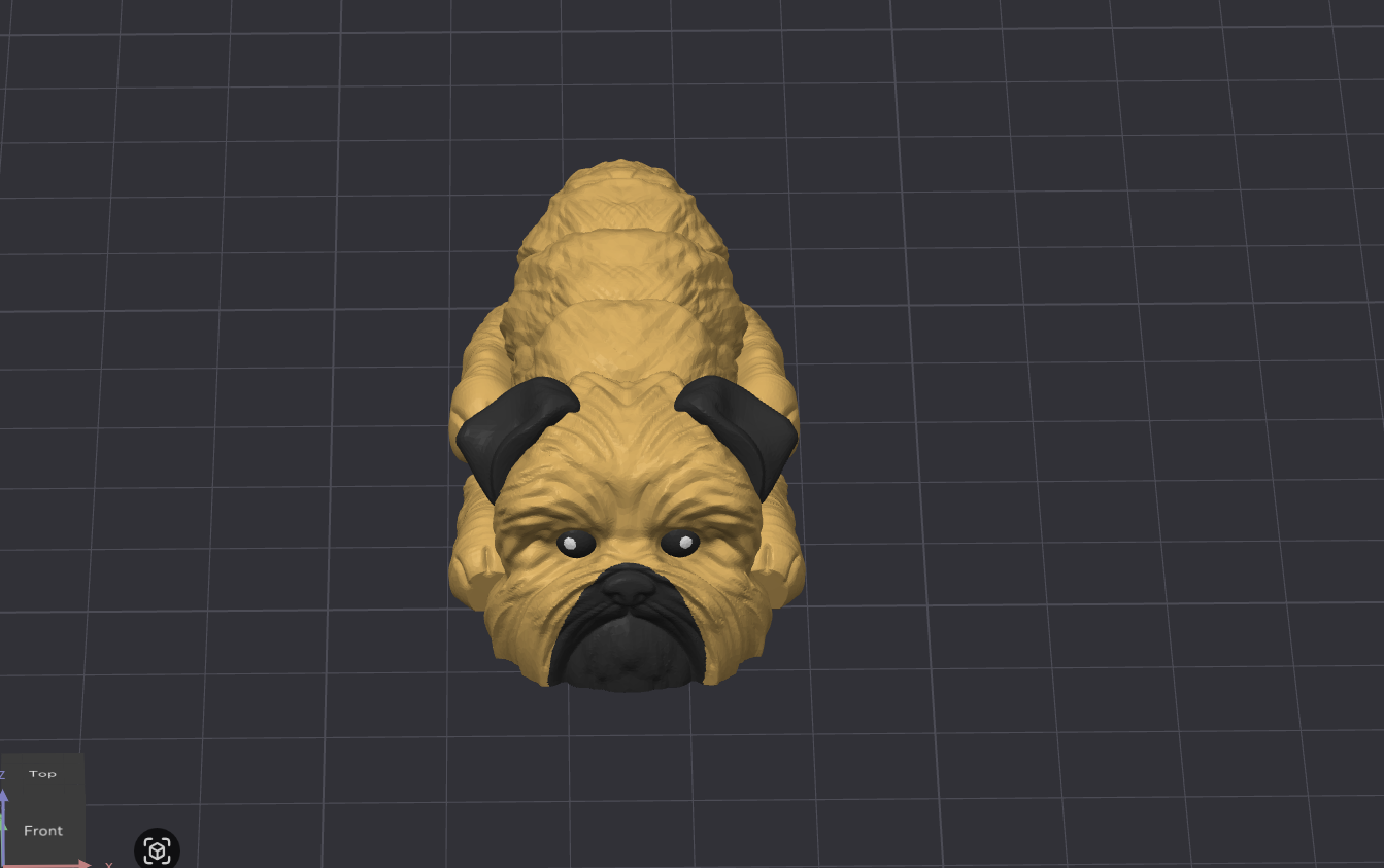 Brussels Griffon Dog