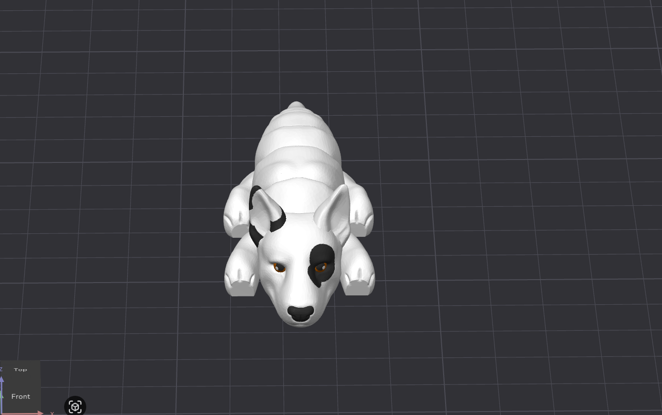 Bull Terrier Dog