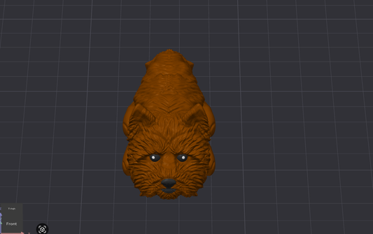 Cairn Terrier Dog