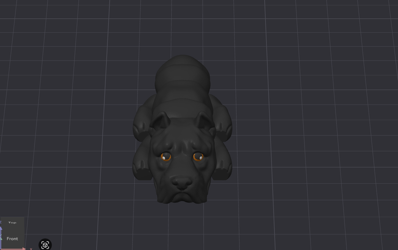 Cane Corso Dog