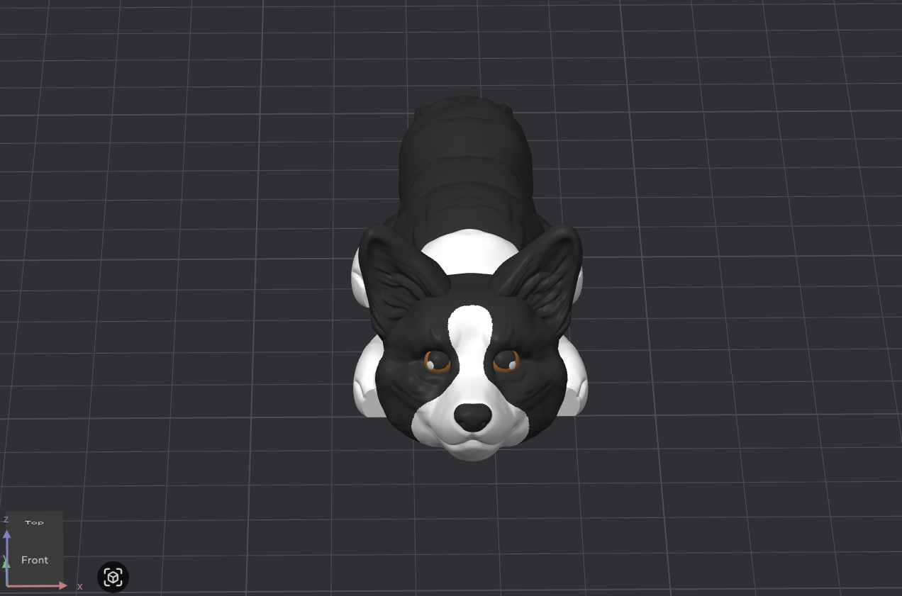 Cardigan Corgi Dog