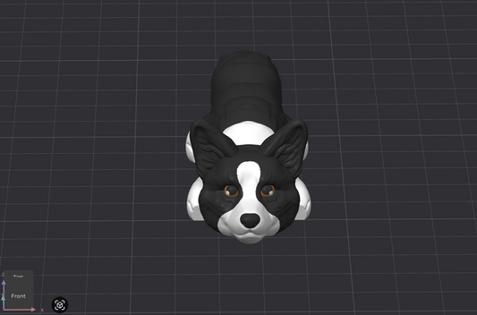 Cardigan Corgi Dog