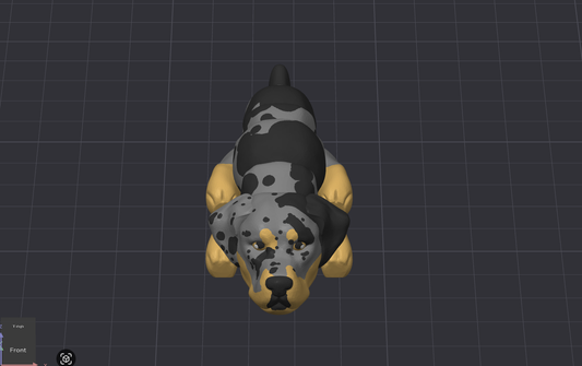 Catahoula Leopard Dog