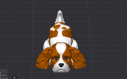 Cavalier Dog