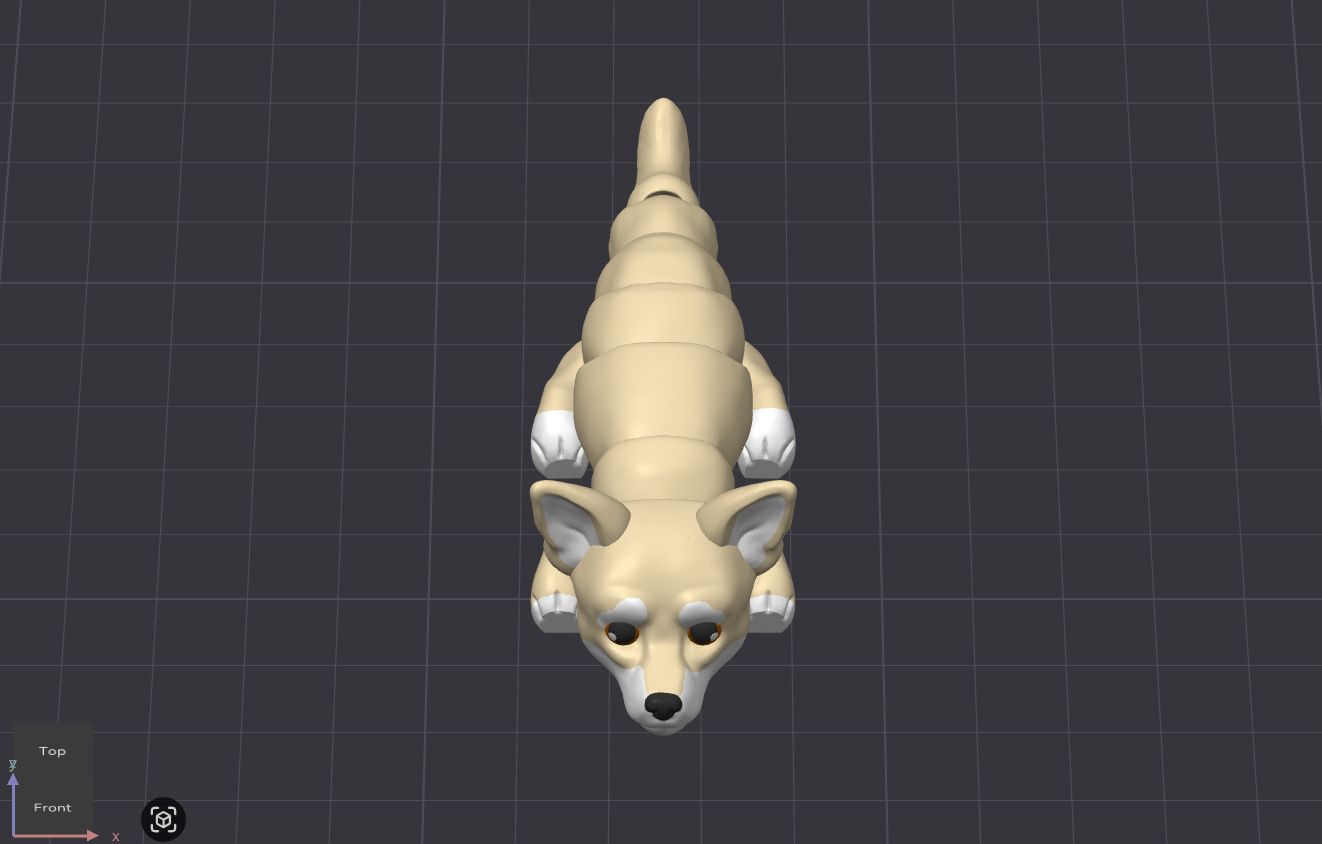 Chihuahua Dog