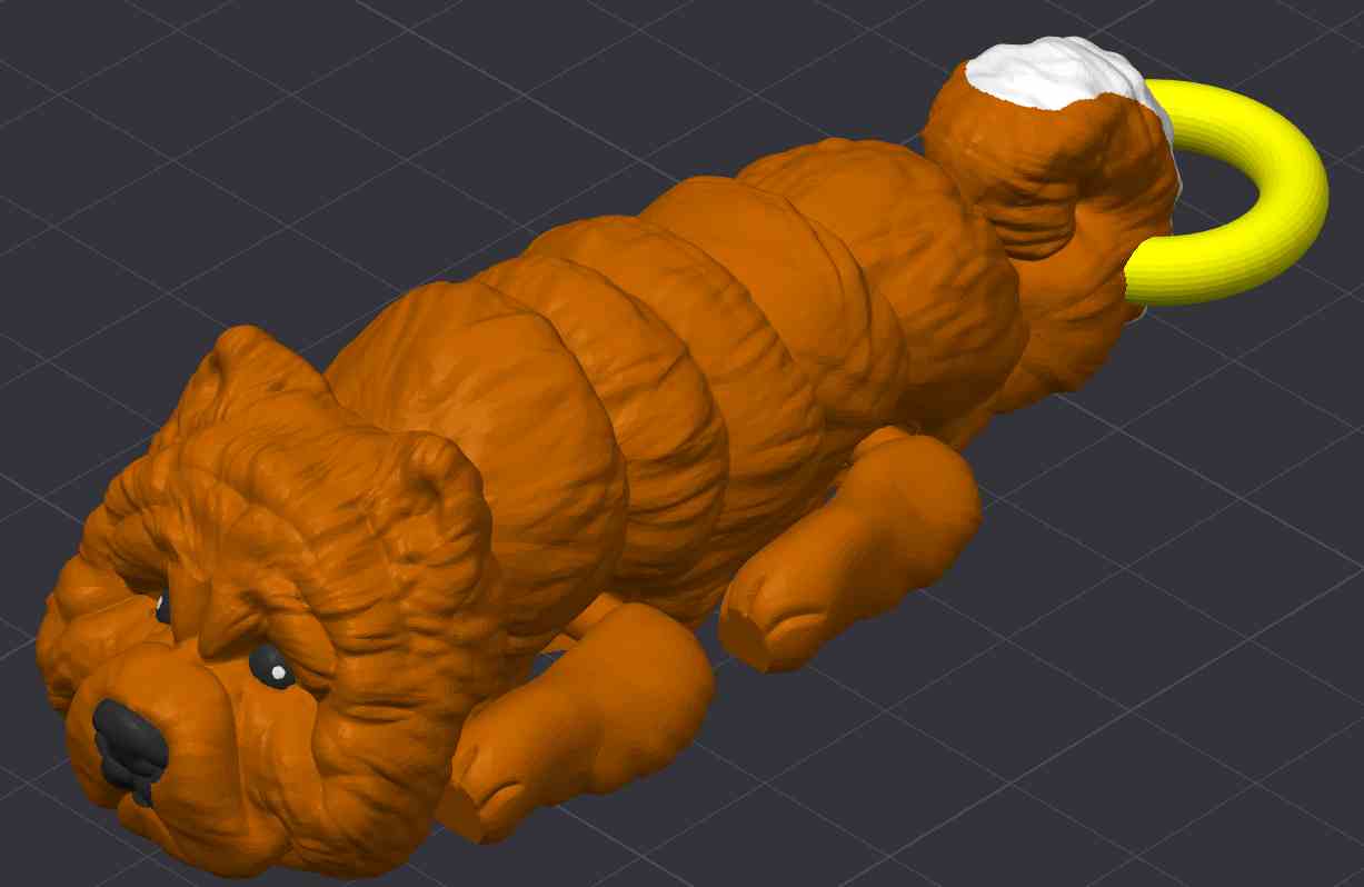 Chow Chow Dog
