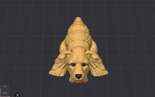 Cocker Spaniel Dog