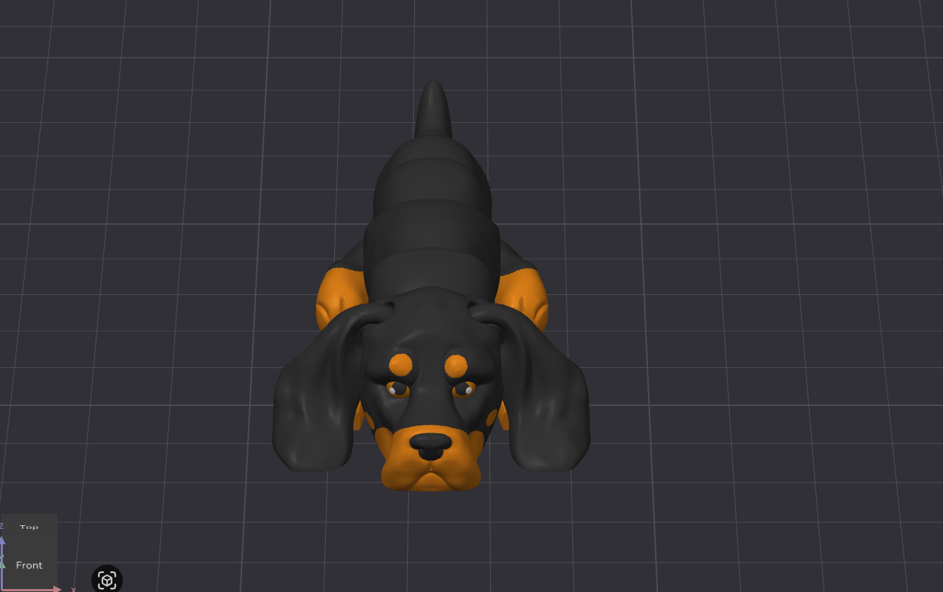 Coonhound Dog
