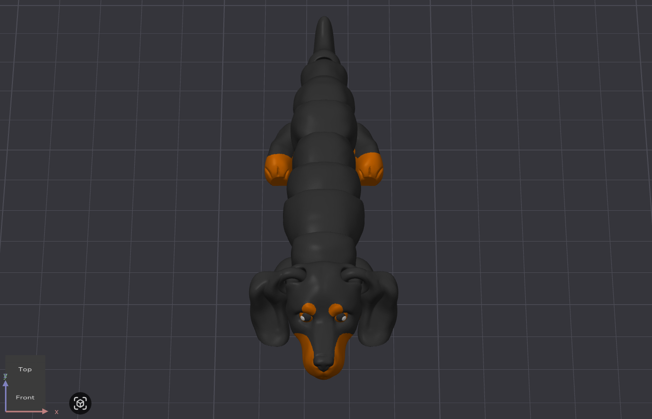 Dachshund Dog