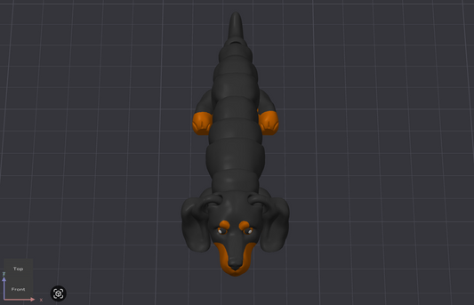 Dachshund Dog