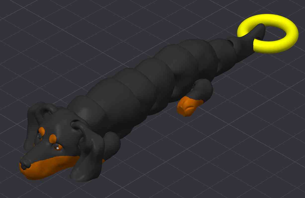 Dachshund Dog