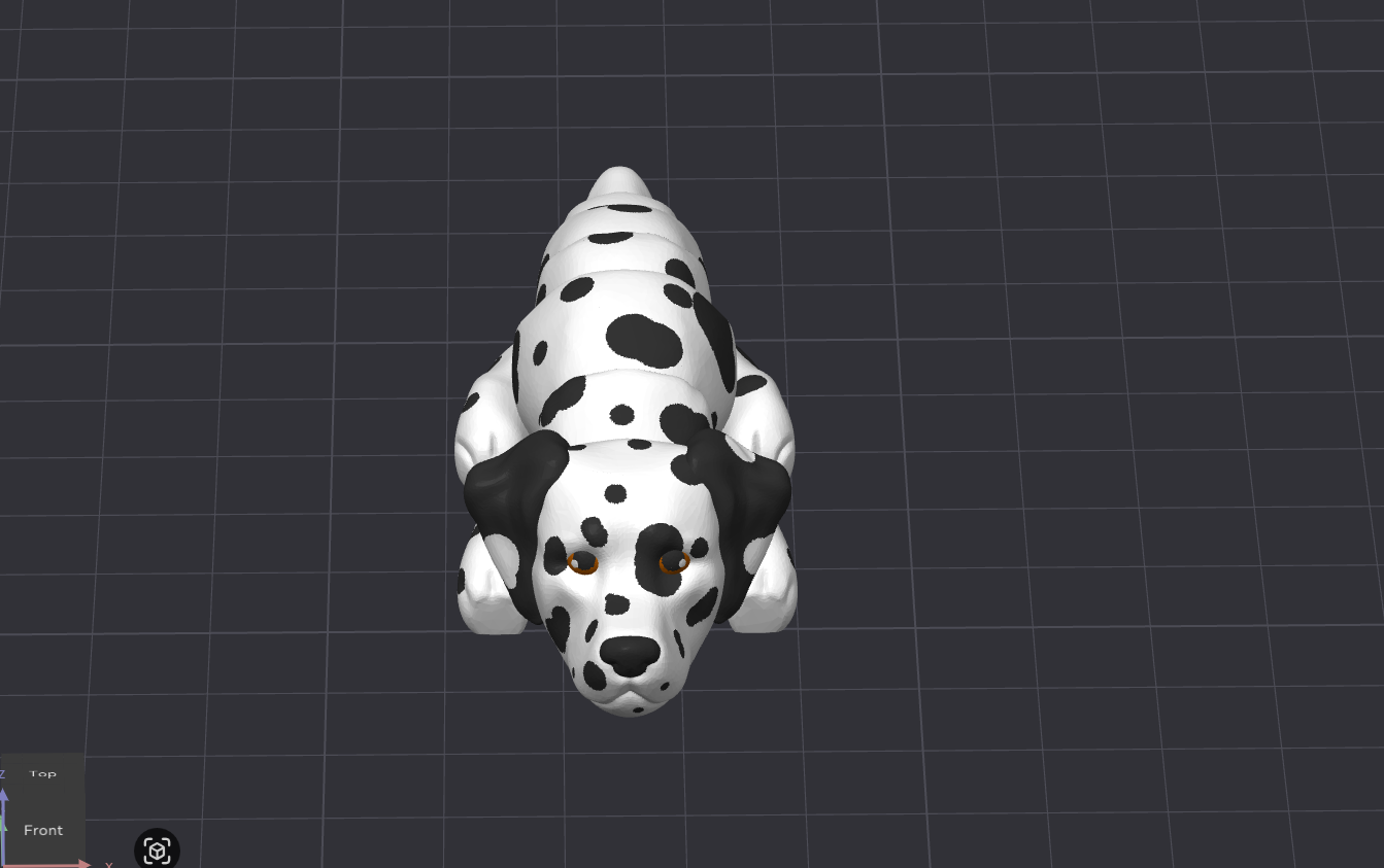 Dalmation Dog