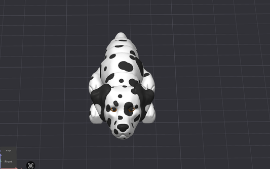 Dalmation Dog