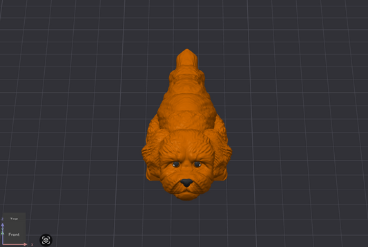 Doodle Dog