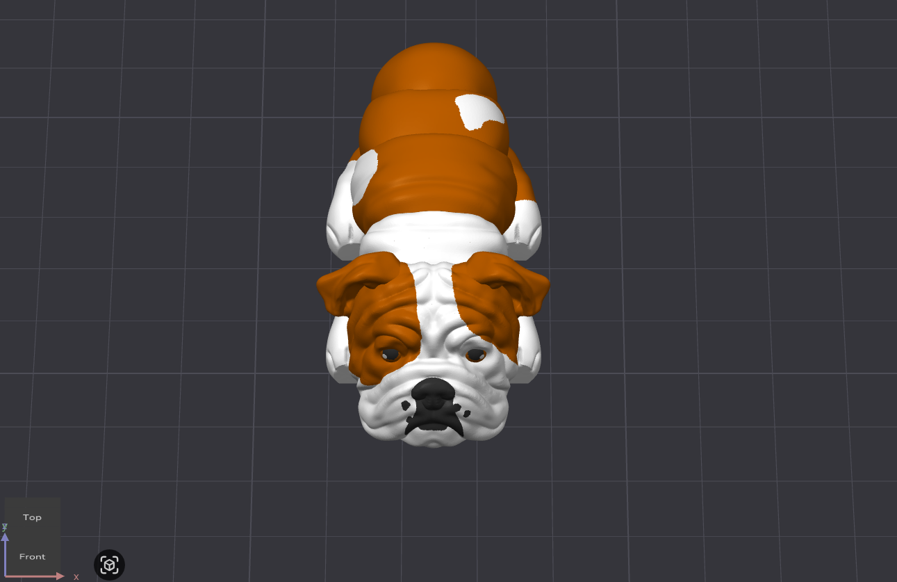 English Bulldog Dog