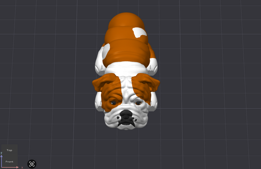 English Bulldog Dog
