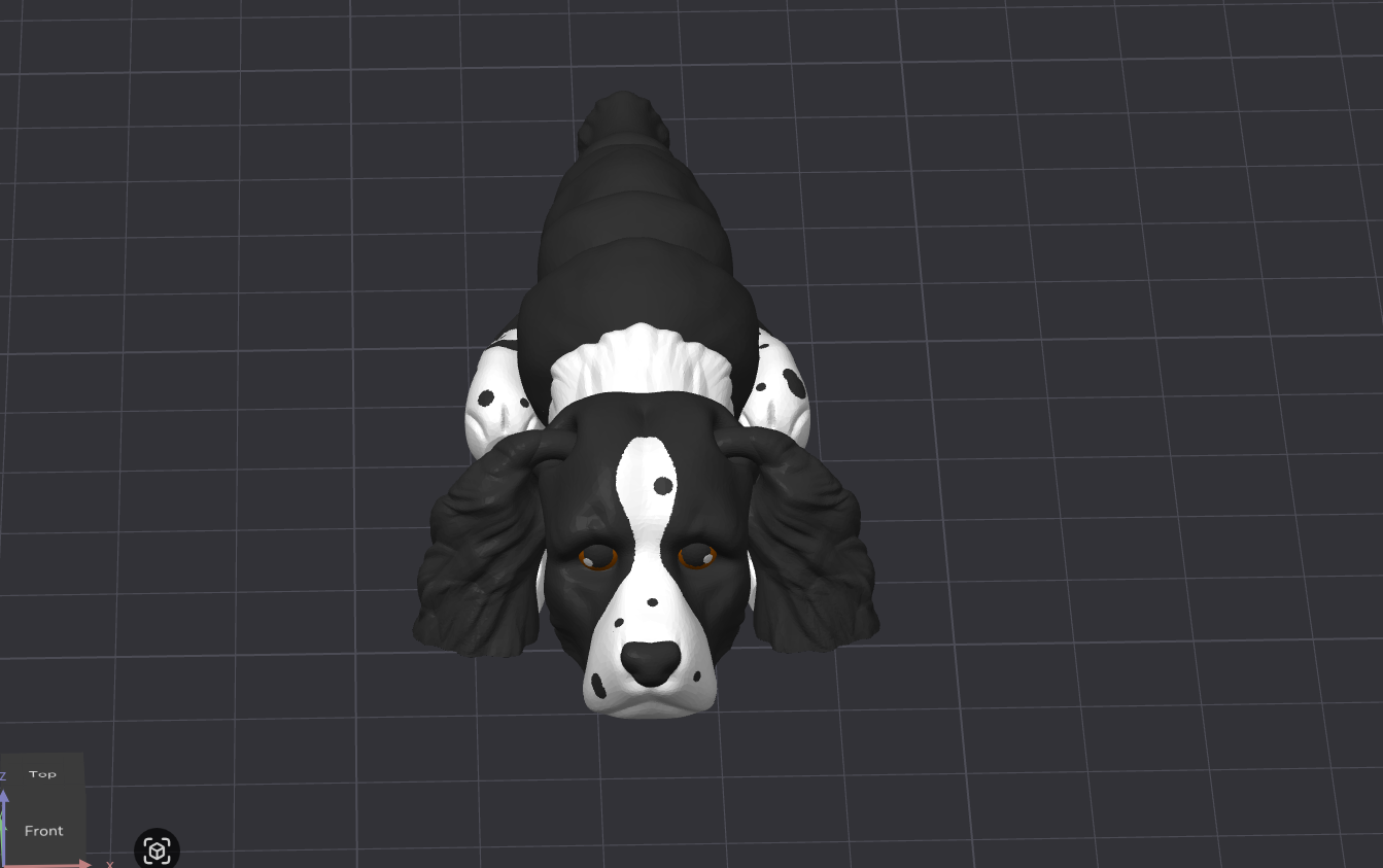English Springer Spaniel Dog