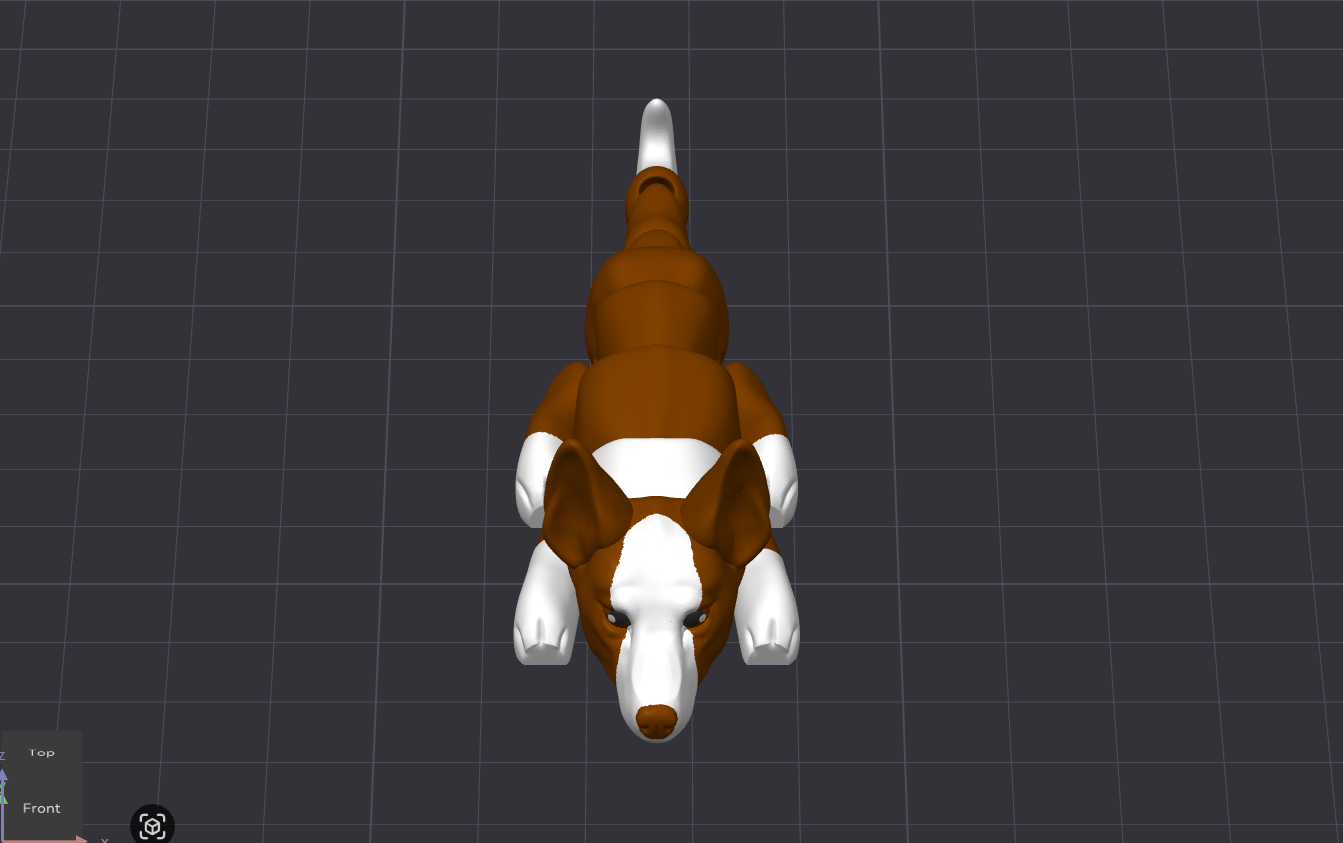 Ibizan Hound Dog