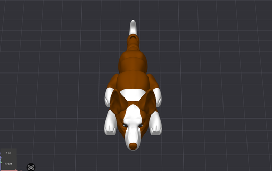 Ibizan Hound Dog