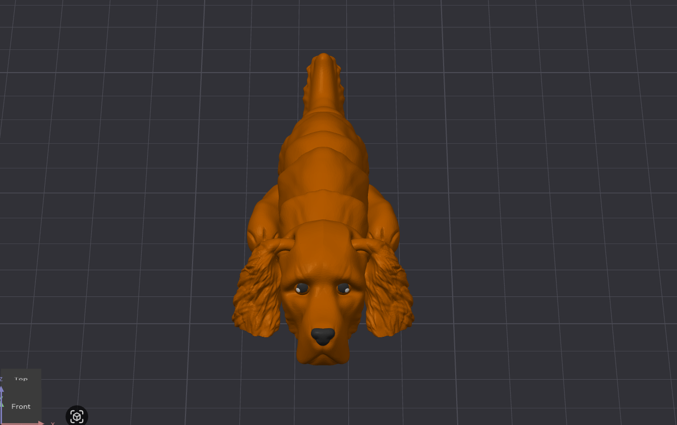 Irish Setter Dog