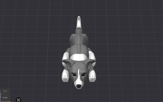Italian Greyhound Dog
