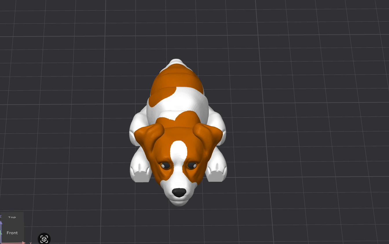 Jack Russell Terrier Dog