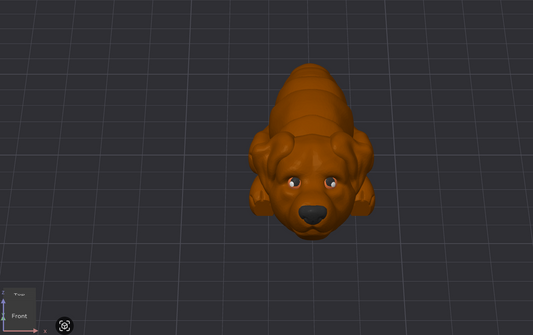Labrador Retriever Dog