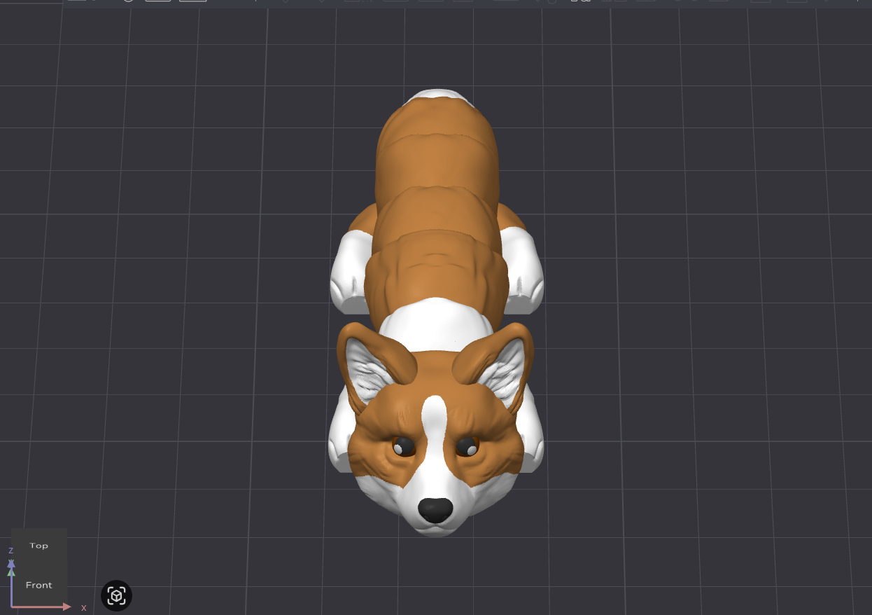 Pembroke Corgi Dog