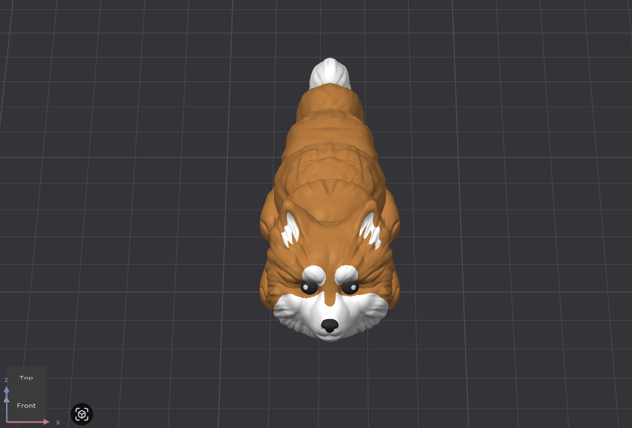 Pomeranian Dog