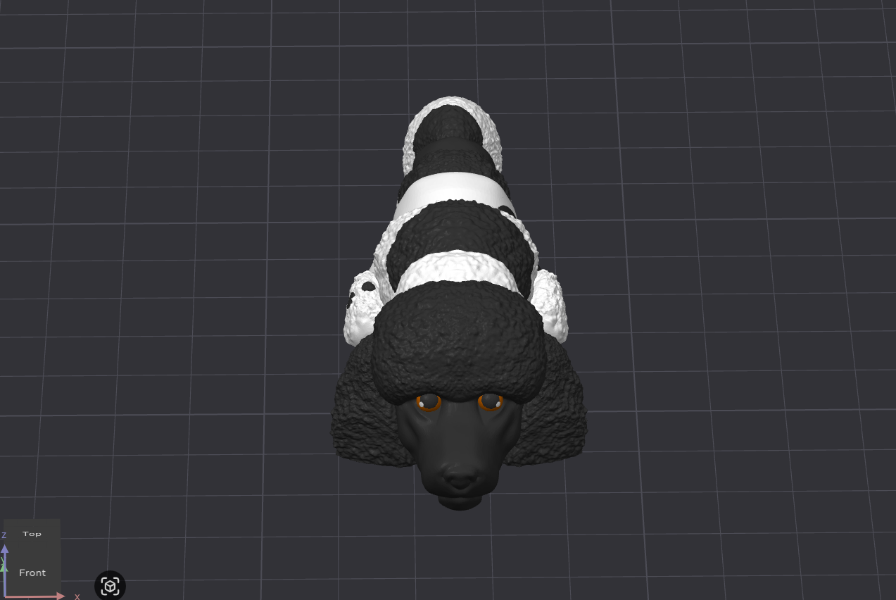 Poodle Dog