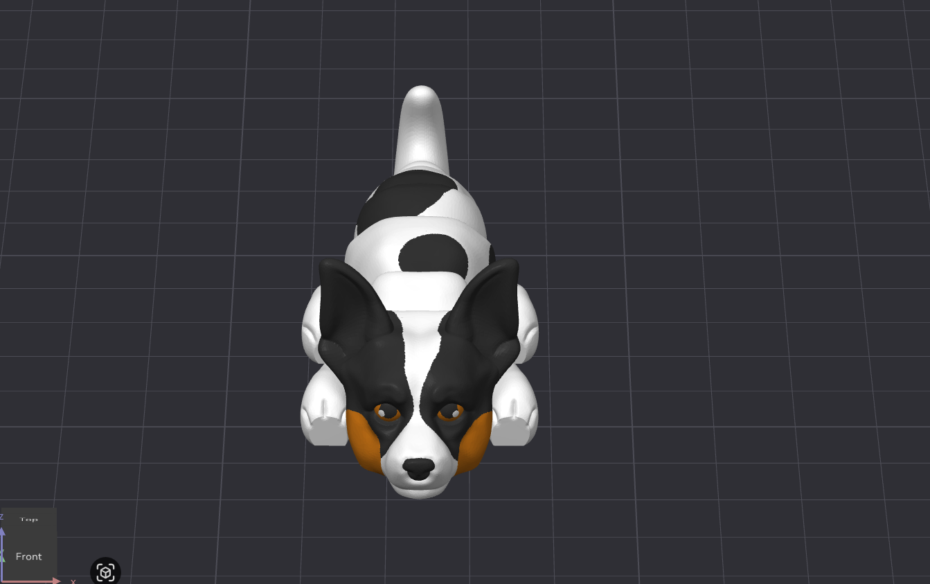 Rat Terrier Dog