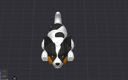 Rat Terrier Dog