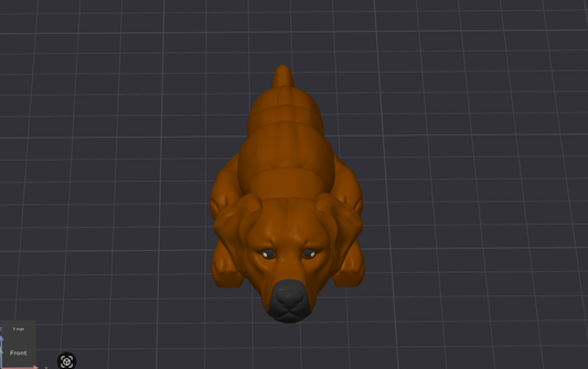 Rhodesian Ridgeback Dog
