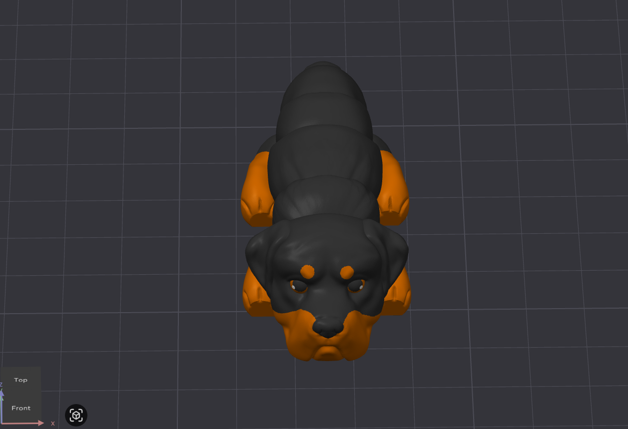 Rottweiler Dog