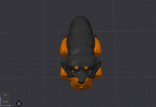 Rottweiler Dog