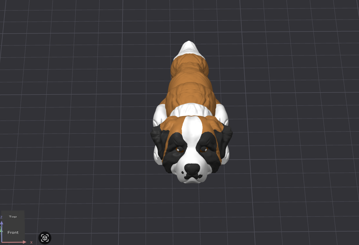 Saint Bernard Dog