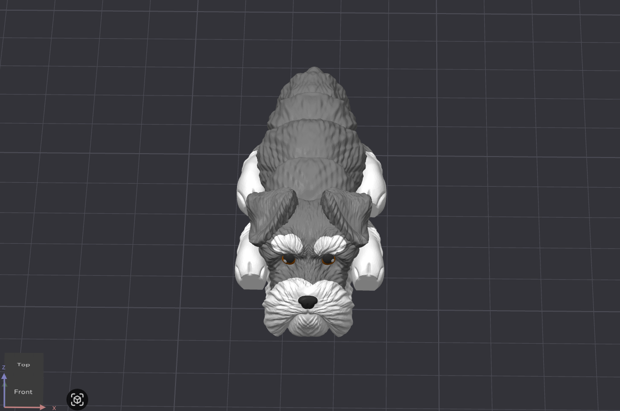 Schnauzer Dog
