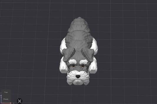 Schnauzer Dog
