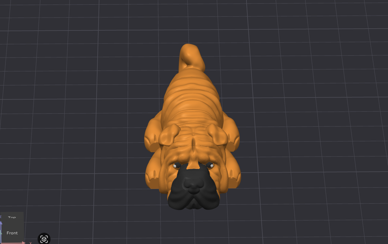 Shar Pei Dog