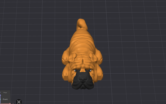Shar Pei Dog