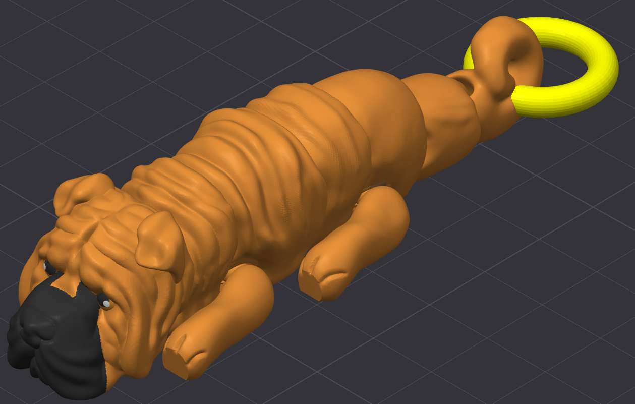 Shar Pei Dog