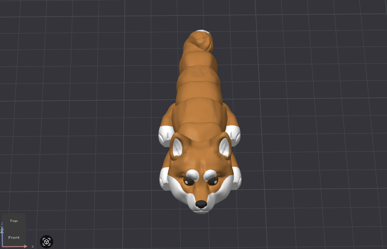 Shiba Inu Dog