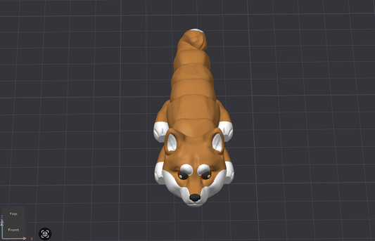 Shiba Inu Dog