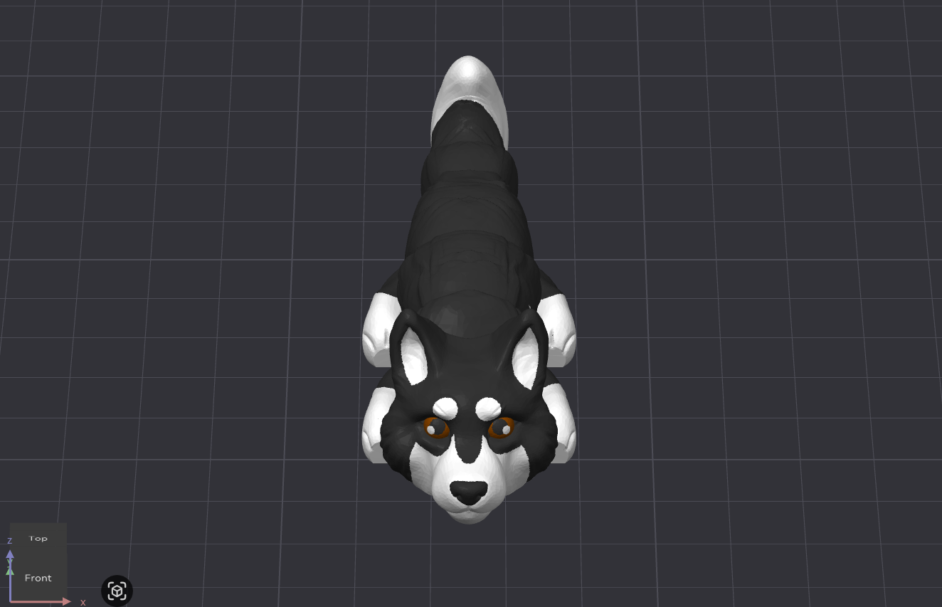 Siberian Husky Dog