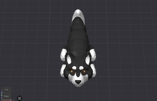 Siberian Husky Dog