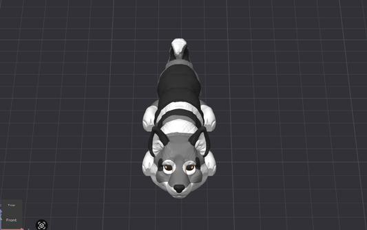 Sweedish Vallhound Dog